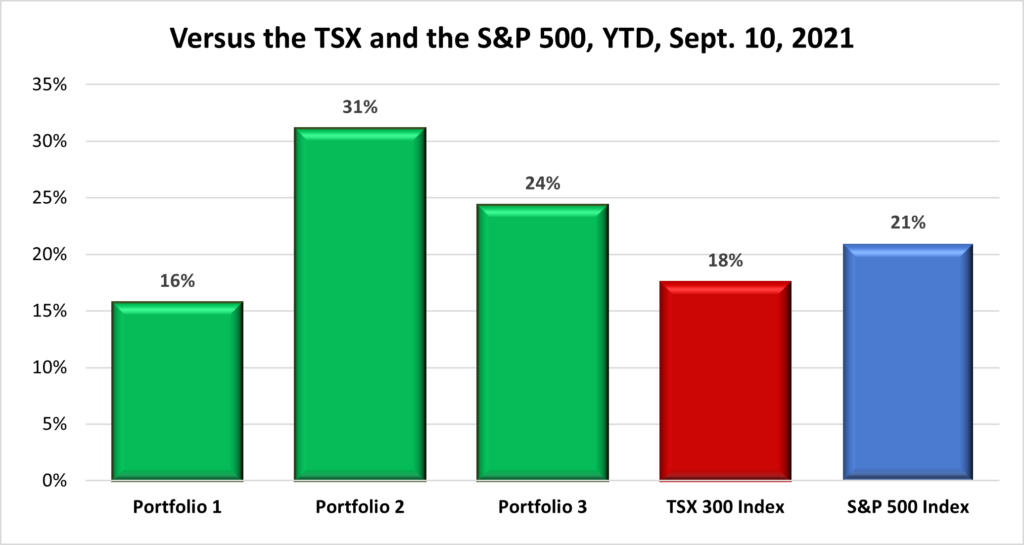 Year to Date Portfolio & Index performance