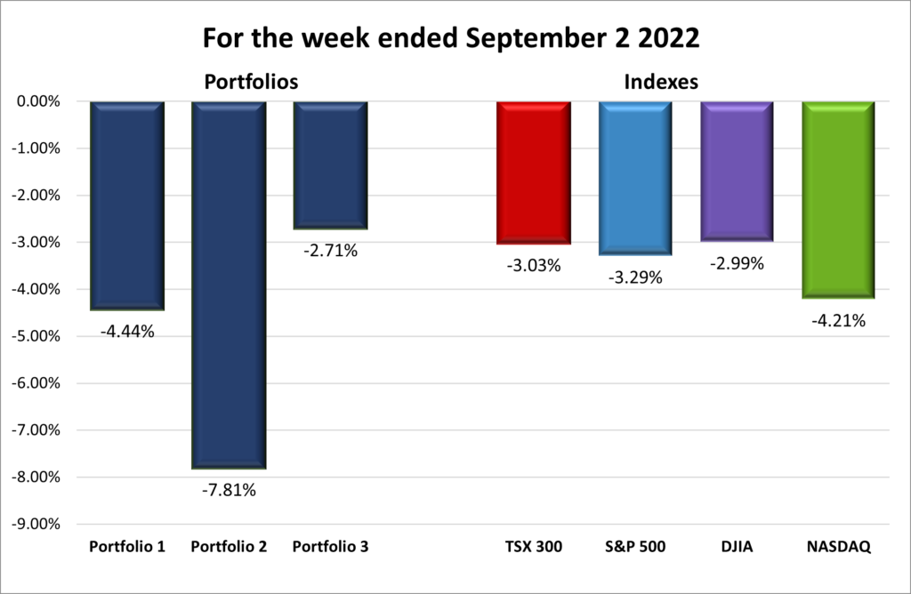 Weekly Portfolio & Index performance