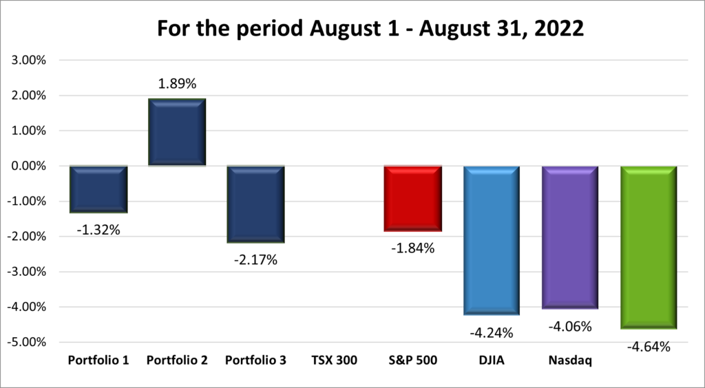 Monthly Portfolio & Index performance