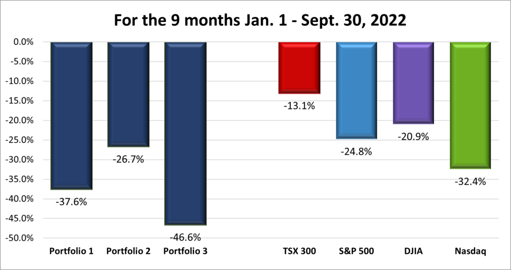 Nine Month Portfolio & Index performance
