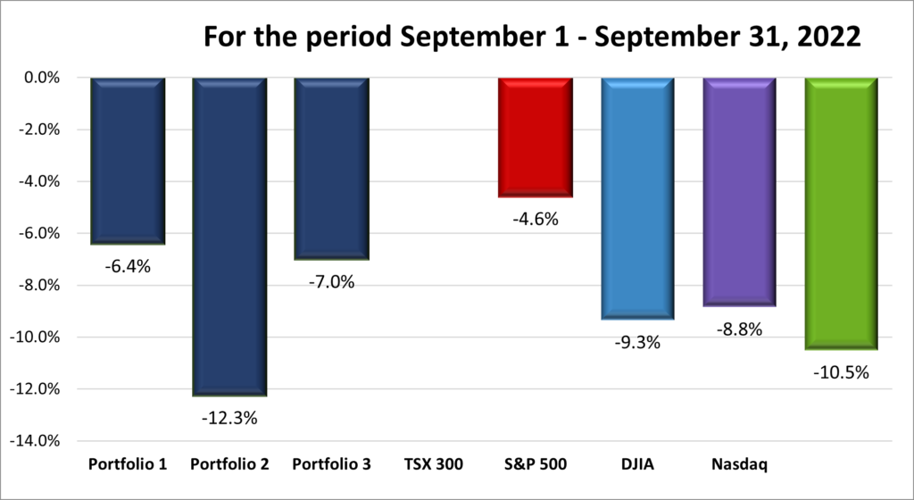 Monthly Portfolio & Index performance
