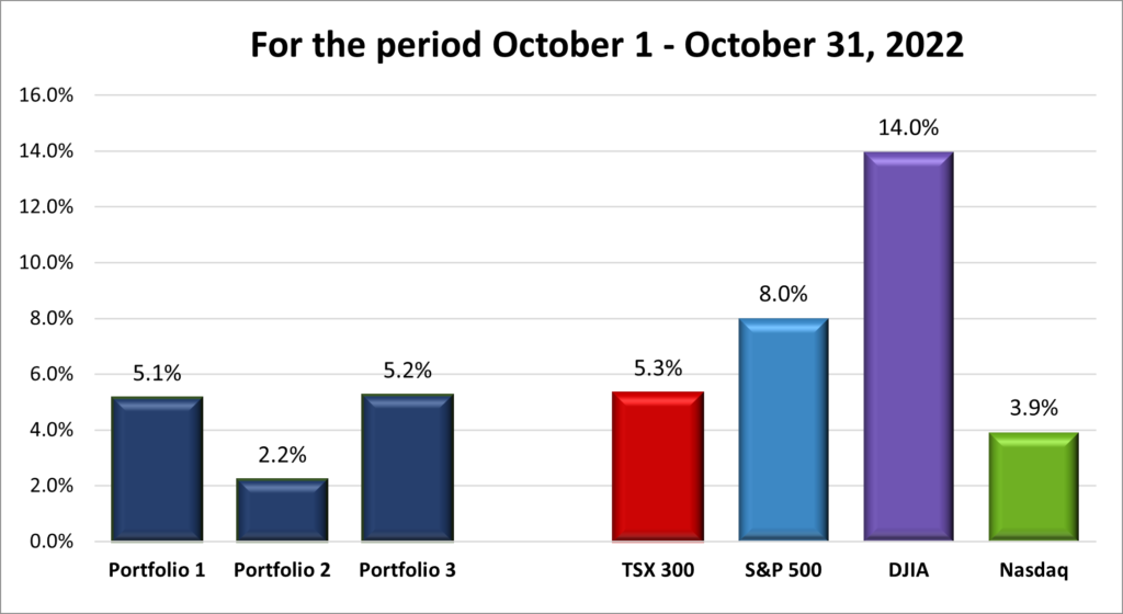 Monthly Portfolio & Index performance