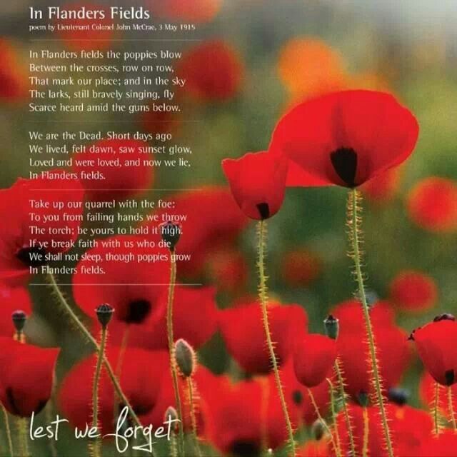 Poppies | Remembrance day poems, Flanders fields poem, Remembrance day