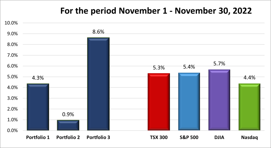 Monthly Portfolio & Index performance