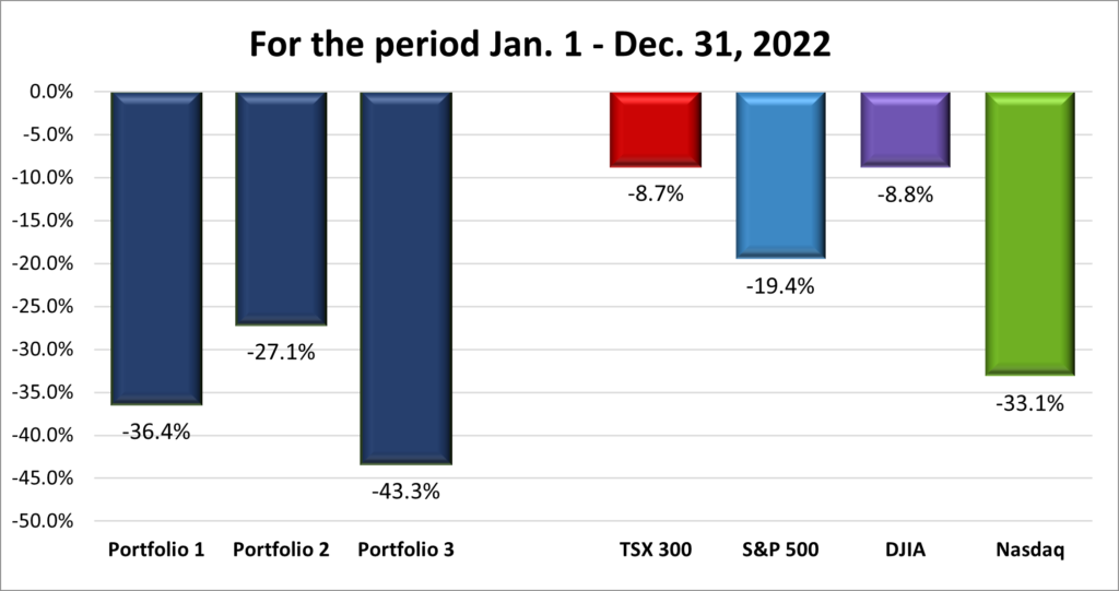 Nine Month Portfolio & Index performance