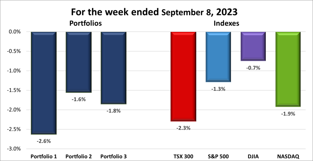 Weekly Portfolio & Index performance