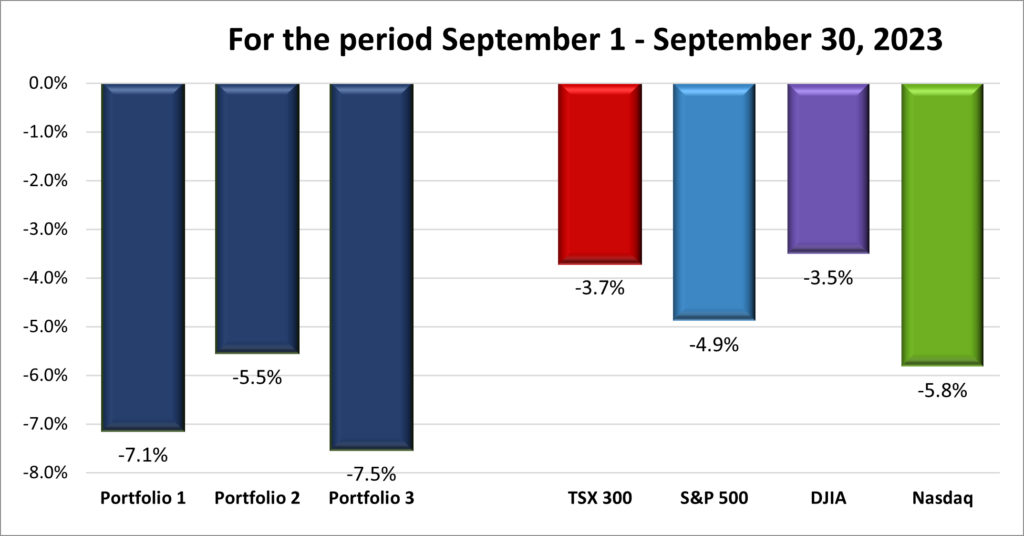 Monthly Portfolio & Index performance