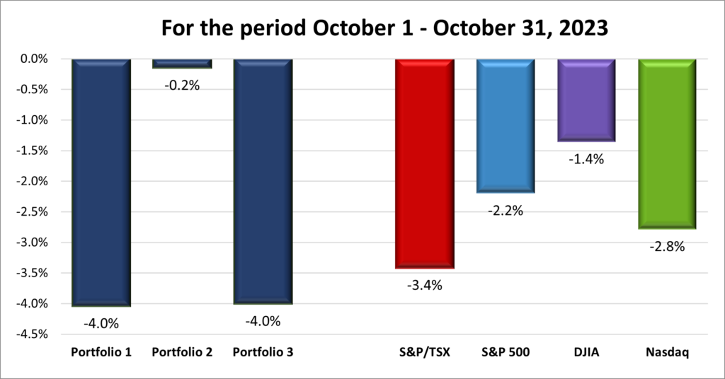 Monthly Portfolio & Index performance