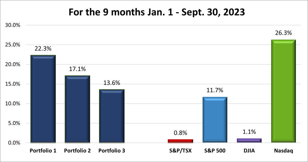 Nine Month Portfolio & Index performance