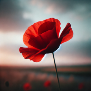 A single red poppy flower blowing gently in the wind against a soft, slightly overcast sky.