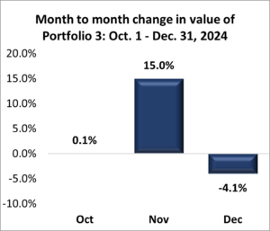 Portfolio 3: Fourth Quarter 2024 Performance