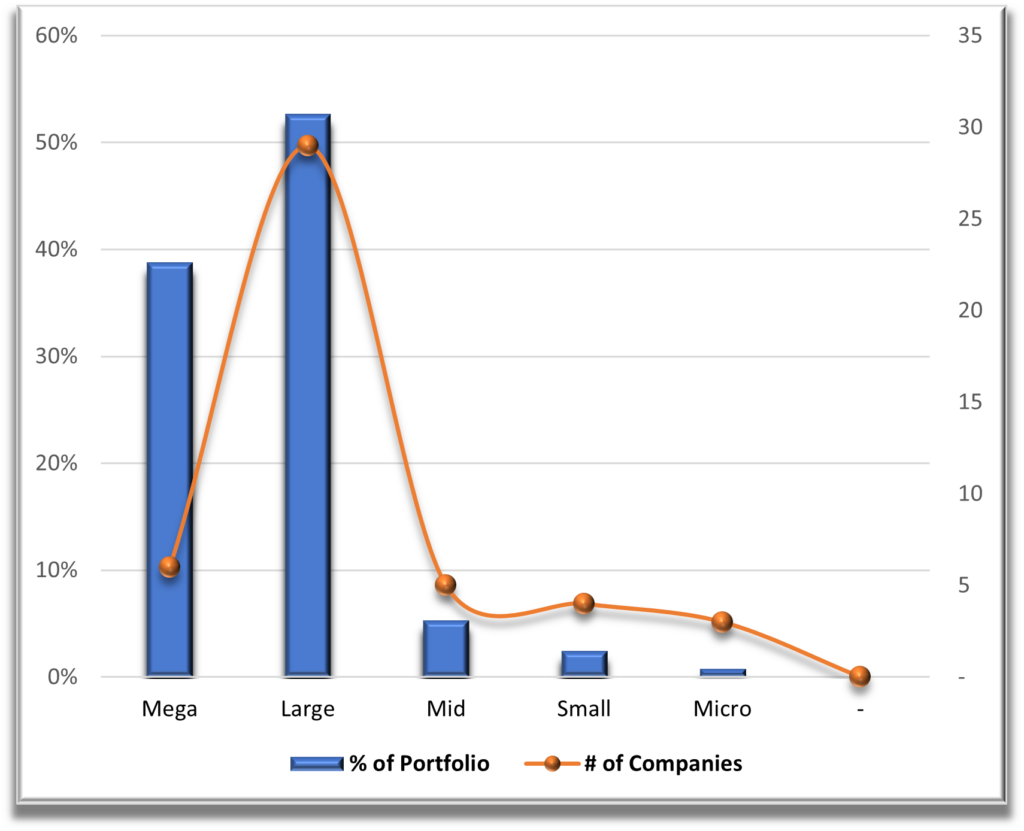 Portfolio 1 Market Cap Diversification