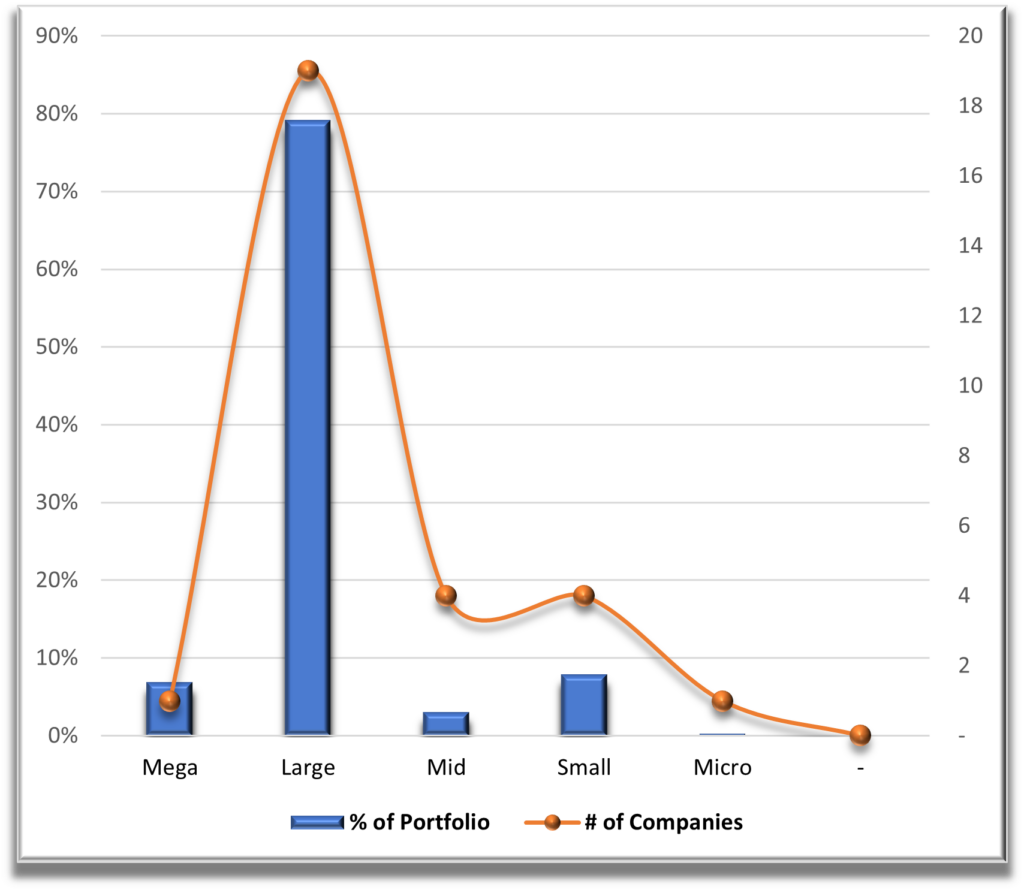 Portfolio 2 Market Cap Diversification
