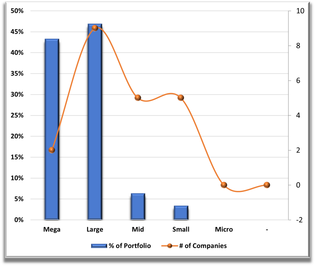 Portfolio 3 Market Cap Diversification