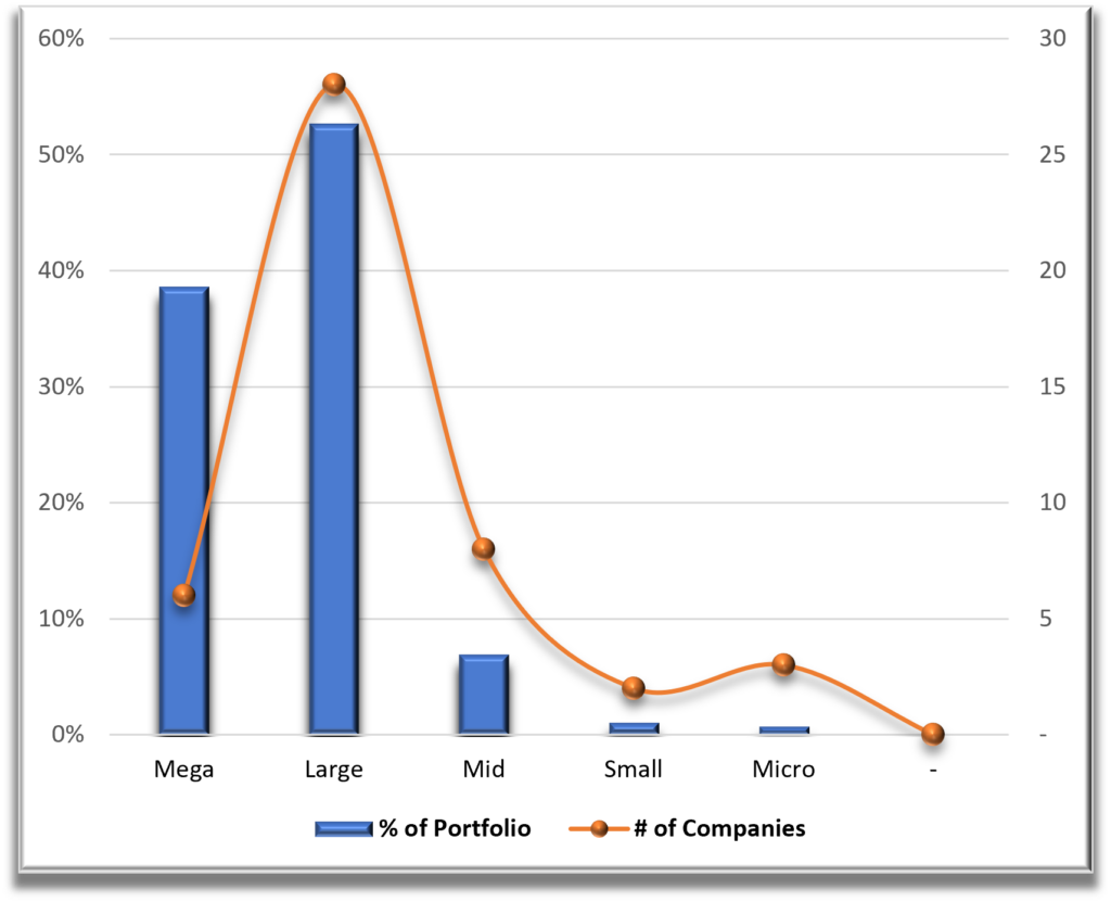 Portfolio 1 Market Cap Diversification
