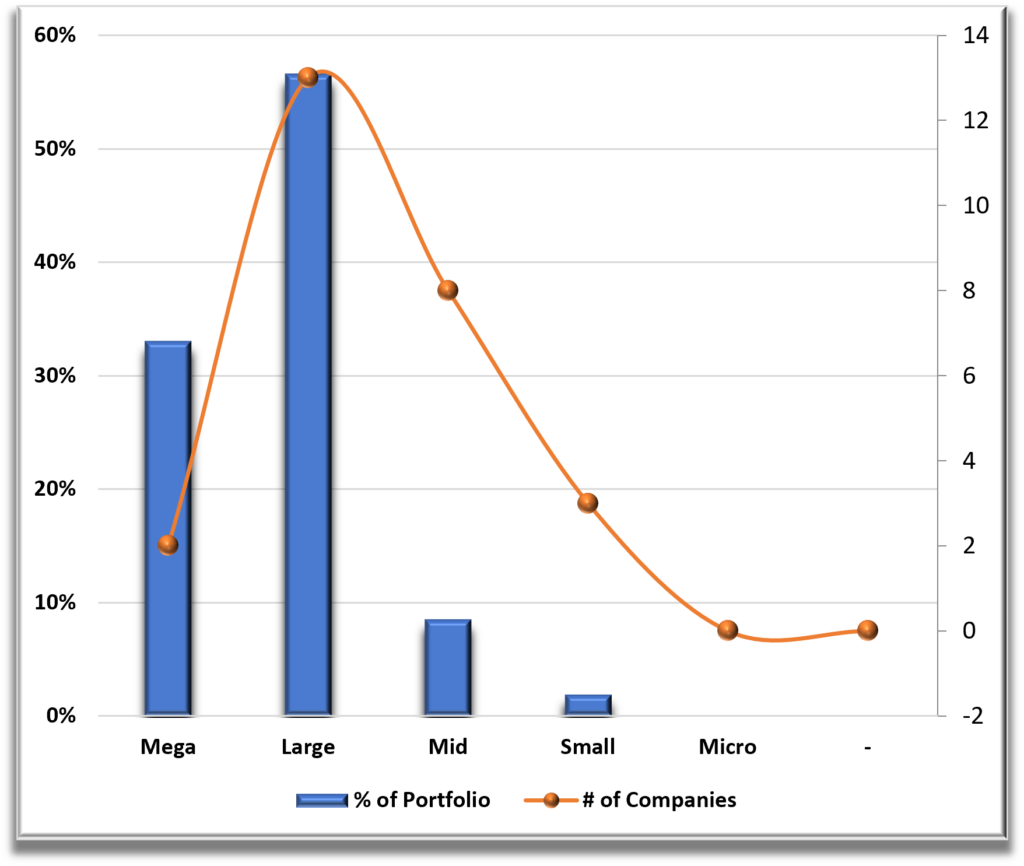 Portfolio 3 Market Cap Diversification