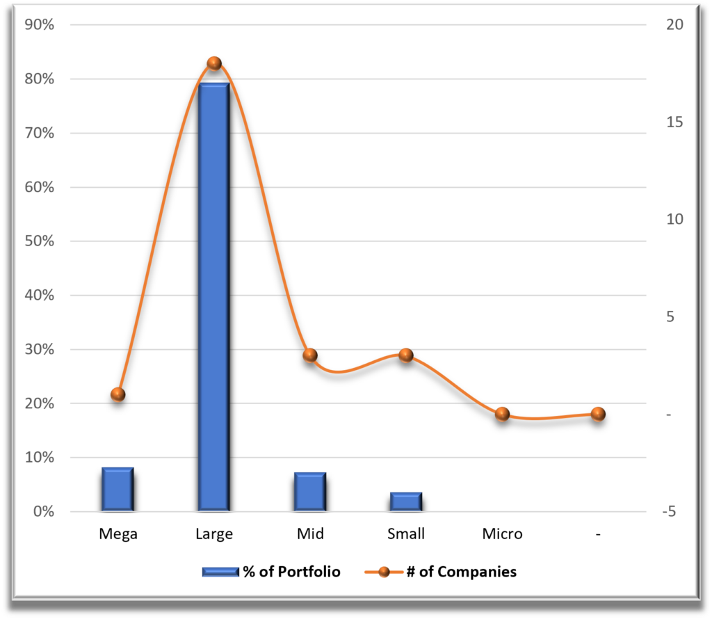 Portfolio 2 Market Cap Diversification